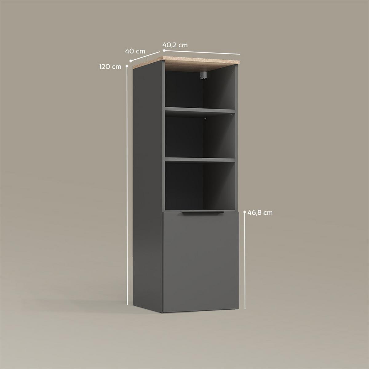 UNIVERSALSCHRANK Piave Anthrazit/Sonoma mit einer Tür - Anthrazit/Sonoma Eiche, Holzwerkstoff (40.2/120/40cm) - Livinity®