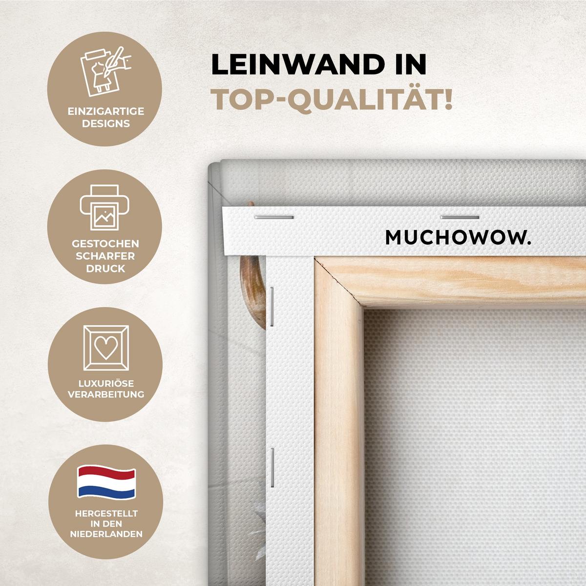 LEINWANDBILD Schottischer Highlander - Tier - Zeitung - Toilette Deko Wohnzimmer 20x30 cm - Kastanienfarben, Textil (20/30cm) - MuchoWow