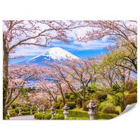 FOTOTAPETE für Wohnzimmer Peace Park Fuji View Kirschblüten 500x350 - Rosa/Braun, Papier (500/350cm) - Muralo