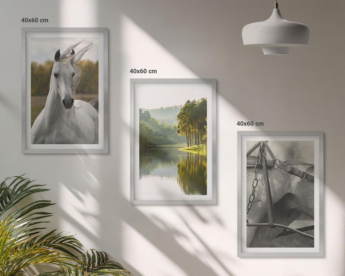 BILDER SET 3er Set - 40x60 cm Silberner Rahmen - Natur des Flusses White Horses - Silberfarben, Kunststoff (40/60cm) - TULUP