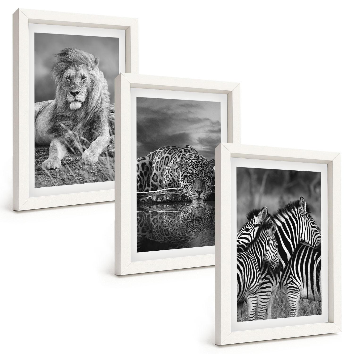 BILDER SET 3er Set - 20x30 cm Weißer Rahmen - Wildtiere der Savanne - Weiß, Kunststoff (20/30cm) - TULUP