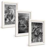BILDER SET 3er Set - 20x30 cm Weißer Rahmen - Wildtiere der Savanne - Weiß, Kunststoff (20/30cm) - TULUP