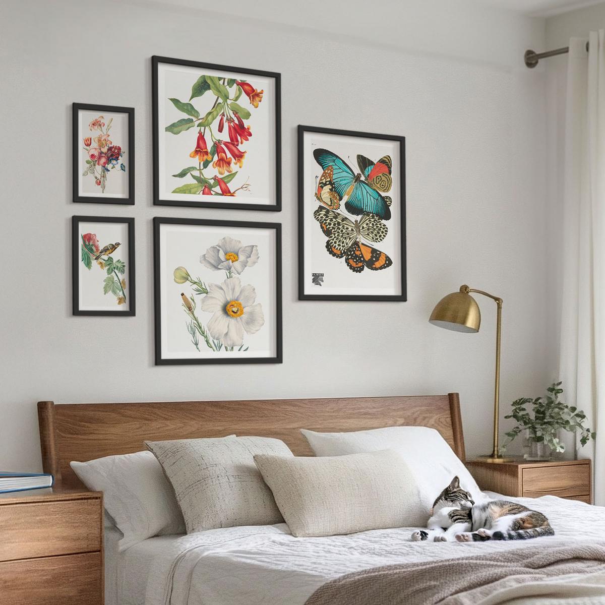 BILDER SET 5er Set - 50x50 cm & 20x30 cm & 40x60 cm Schwarzer Rahmen - Blumen, Schmetterlinge, Vögel, Pastellfarben - Schwarz, Kunststoff (40/60cm) - TULUP