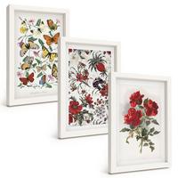 BILDER SET 3er Set - 20x30 cm Weißer Rahmen - Schmetterlinge, Blumen, rote Rosen - Weiß, Kunststoff (20/30cm) - TULUP
