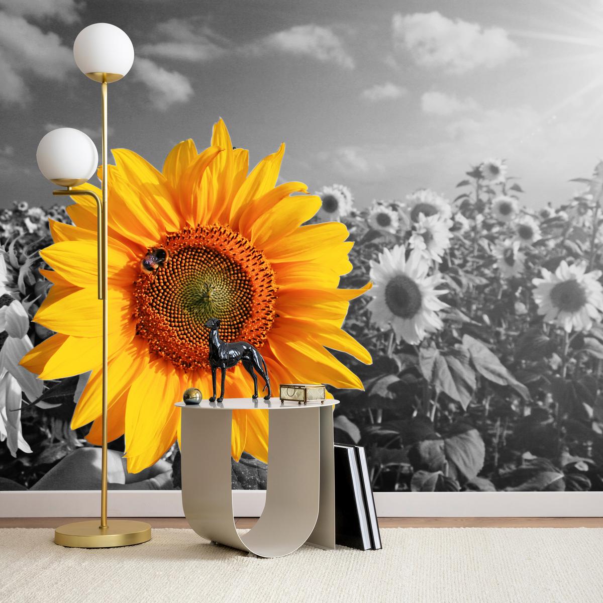 FOTOTAPETE für Küche Gelber Sonnenblume Schwarz-Weiß Hintergrund 450x315 - Gelb/Orange, Papier (450/315cm) - Muralo