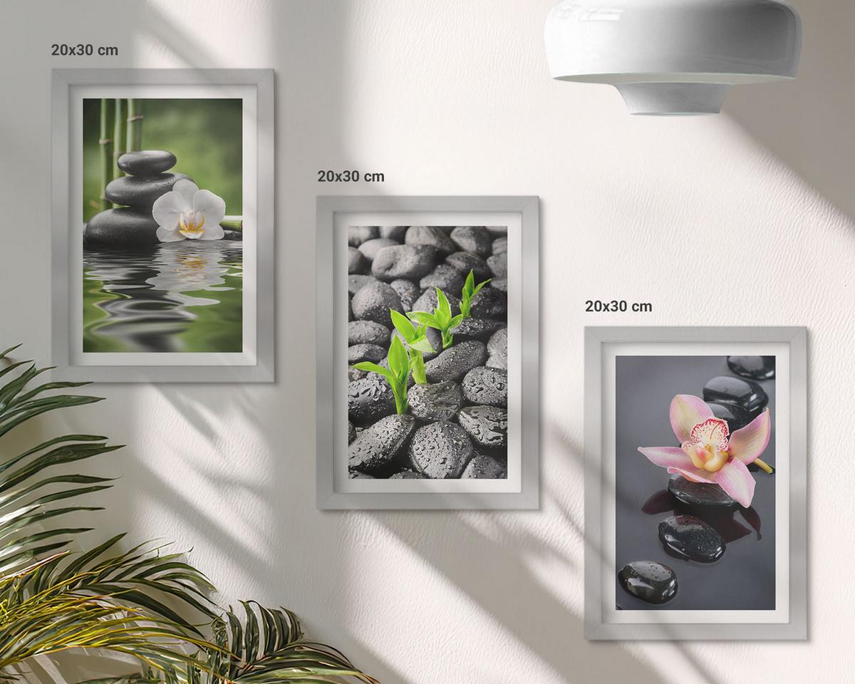 BILDER SET 3er Set - 20x30 cm Silberner Rahmen - Eine ruhige Zen-Komposition aus Blumen und Wasser - Silberfarben, Kunststoff (20/30cm) - TULUP