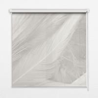 INNENROLLO - Fensterrollo - Rollo - 140x140 cm - Federn - Weiß, Kunststoff (140/140/0.5cm) - TULUP