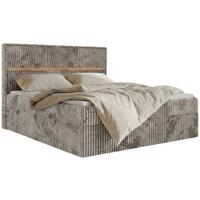 BOXSPRINGBETT ORVO 160/200 - Hellbraun Cord - Topper T25 - H3 - Hellbraun/Schwarz, Kunststoff/Textil (160/200cm) - MKS