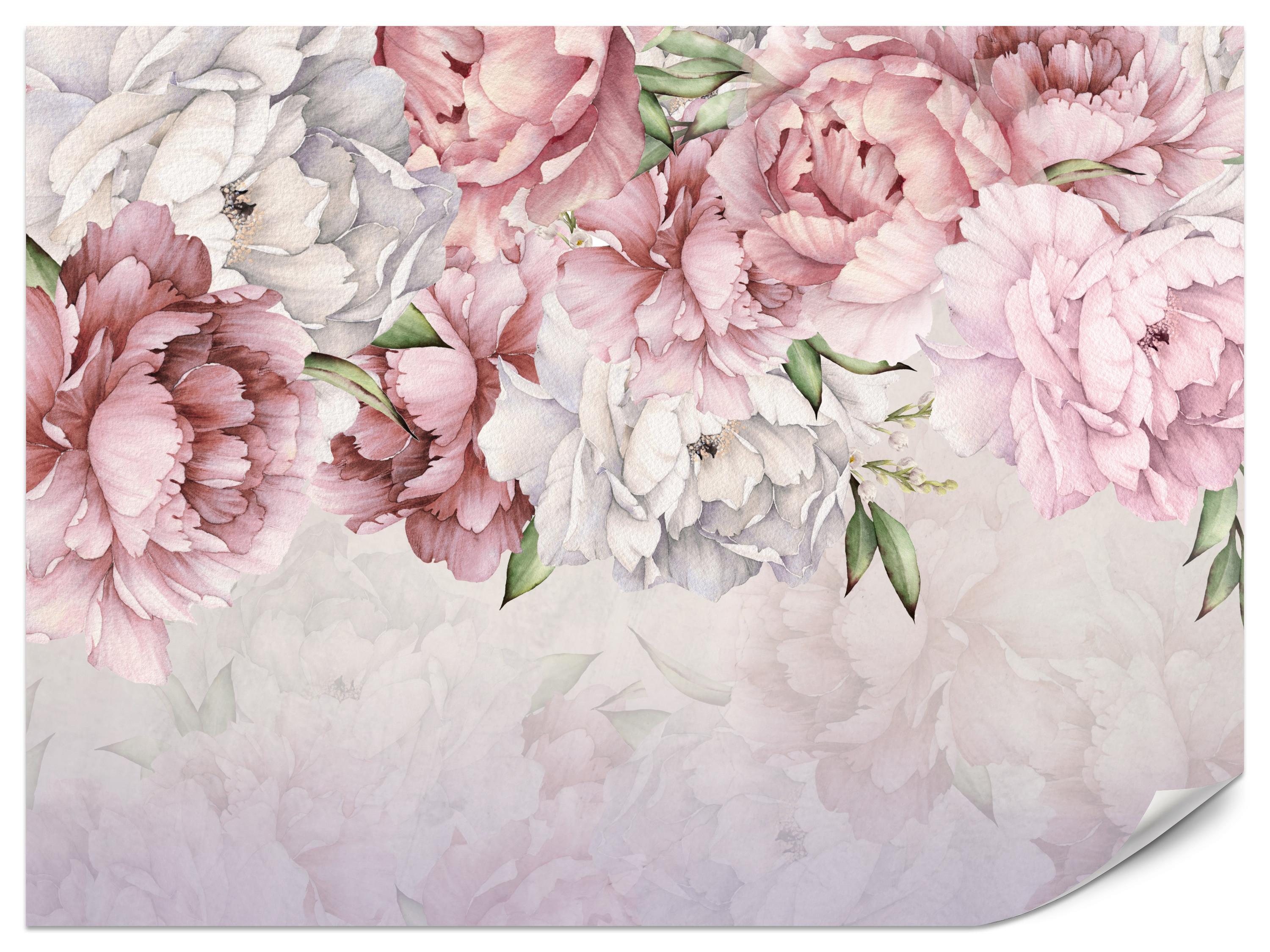 FOTOTAPETE für Badezimmer Zarte Rosa Pfingstrosen Blumen 200x140 - Violett/Rosa, Papier (200/140cm) - Muralo