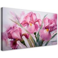 LEINWANDBILD Iris rosa bemalte Blumen 80x40cm - Pink, Textil (80/40cm) - Feeby