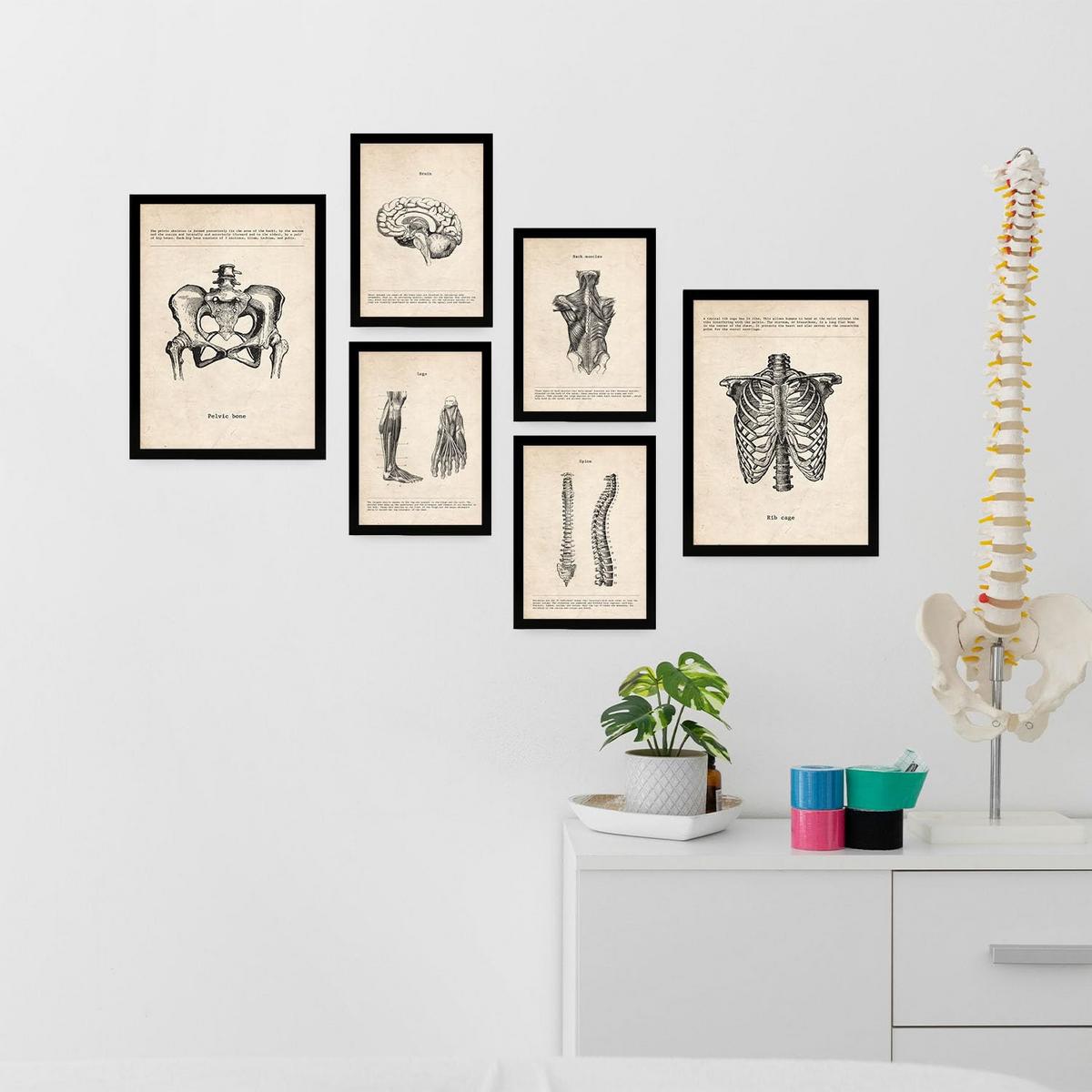 POSTER Set Mit 6 Von Kopf Bis Fuß Medizinische Illustrationen Im Vintage Stil Von Anatomie, Körperteilen, Knochen Und Muskeln A3 & A4 Schwarzer Rahmen - Schwarz, Papier (29/3cm) - Nacnic