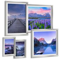 BILDER SET 5er Set - 50x50 cm & 20x30 cm & 40x60 cm Silberner Rahmen - Berglandschaften, Wasser, Blumenfeld - Silberfarben, Kunststoff (40/60cm) - TULUP