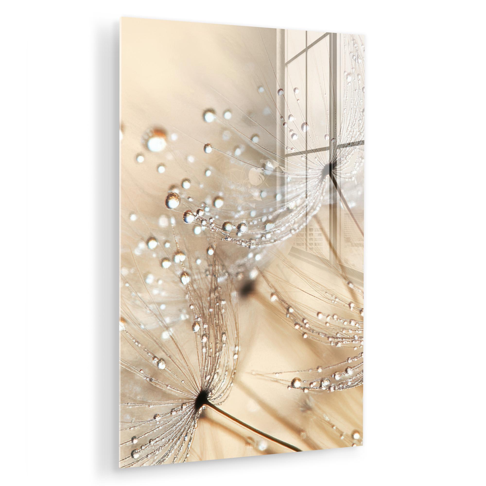ACRYLGLASBILD Löwenzahn - Abstrakt - Natur - Beige Wanddeko Wohnzimmer 40x60 cm - Braun, Glas (40/60cm) - MuchoWow