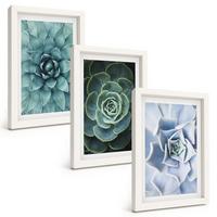 BILDER SET 3er Set - 20x30 cm Weißer Rahmen - Sukkulente Pflanzen grün türkis - Weiß, Kunststoff (20/30cm) - TULUP