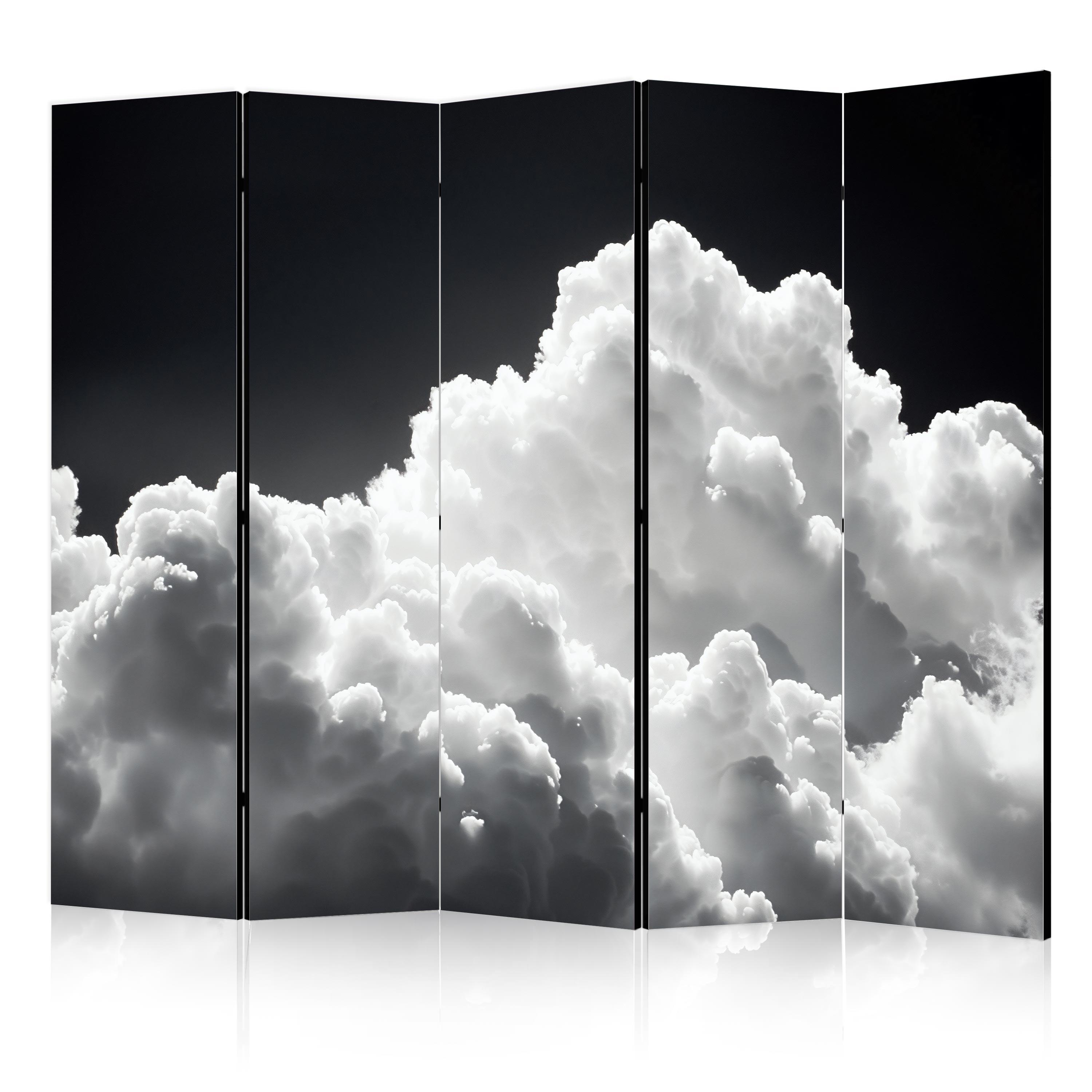PARAVENT Beidseitig Bedruckter 5-tlg 225x172 cm Schwarz-Weisser Himmel - Schwarz, Holz/Textil (225/172/3cm) - Muralo