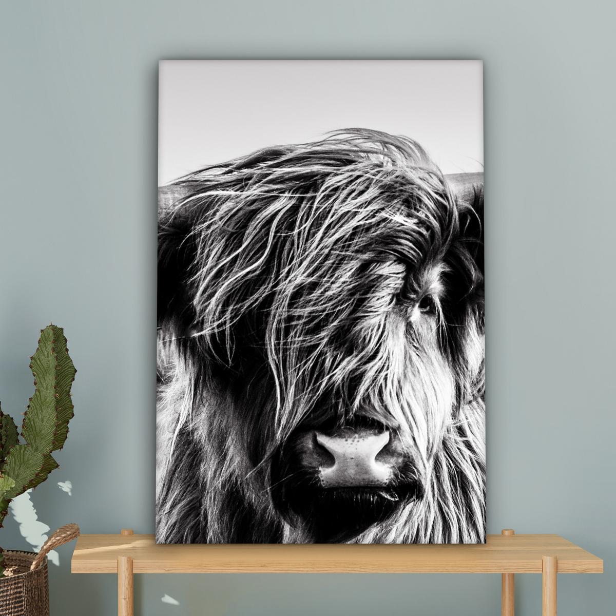 LEINWANDBILD Kuh - Schottischer Hochländer - Schwarz - Weiß - Tier - Natur - Wildtiere Wanddeko 40x60 cm - Schwarz, Textil (40/60cm) - MuchoWow