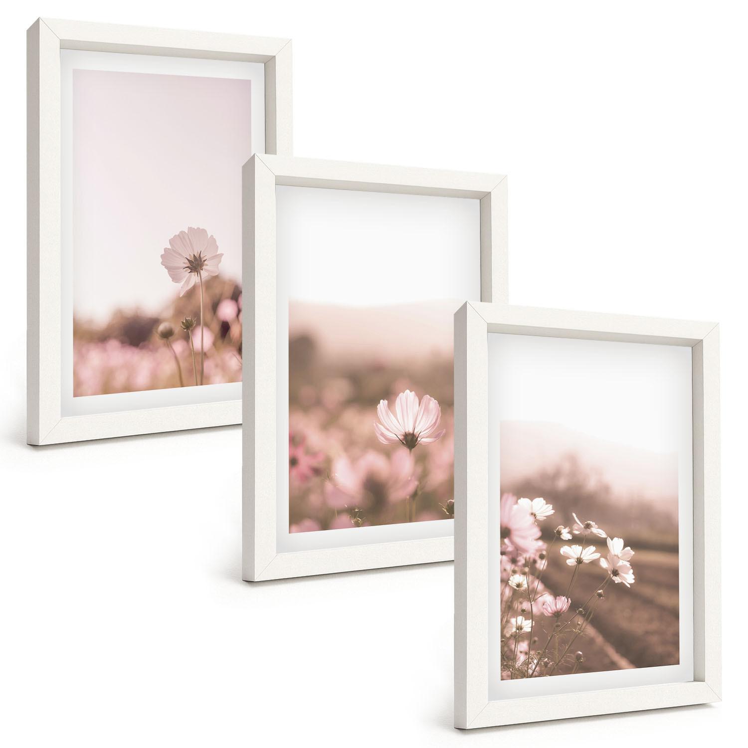 BILDER SET 3er Set - 20x30 cm Weißer Rahmen - Sommerlandschaften mit Wildblumenwiesen - Weiß, Kunststoff (20/30cm) - TULUP