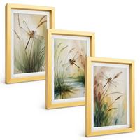 BILDER SET 3er Set - 20x30 cm Goldrahmen - Libellen im Gras, Wassermalerei - Goldfarben, Kunststoff (20/30cm) - TULUP