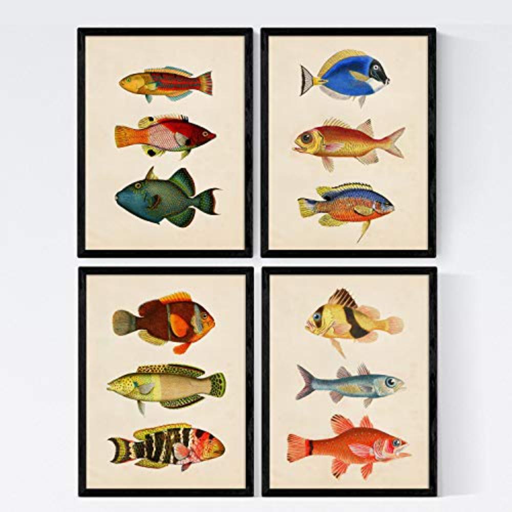 POSTER Set mit 4 Fischwirkung Jahrgang grün rot Blauer Ton A4 Schwarzer Rahmen - Schwarz, Papier (29.7/3cm) - Nacnic