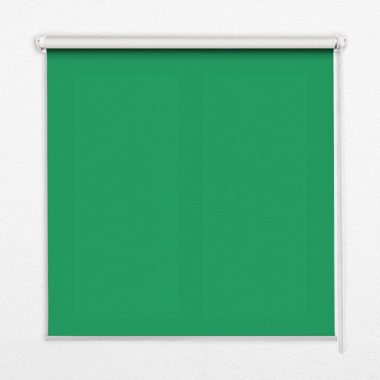 INNENROLLO - Fensterrollo - Rollo - 150x180 cm - Grün - Grün, Kunststoff (150/180/0.5cm) - TULUP