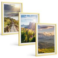 BILDER SET 3er Set - 40x60 cm Goldrahmen - Berglandschaft mit Blumen - Goldfarben, Kunststoff (40/60cm) - TULUP