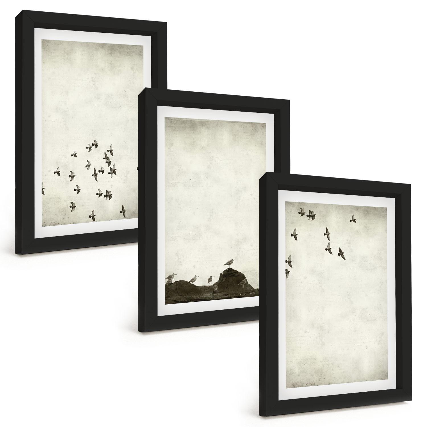 BILDER SET 3er Set - 20x30 cm Schwarzer Rahmen - Vögel im Flug, minimalistischer Stil - Schwarz, Kunststoff (20/30cm) - TULUP