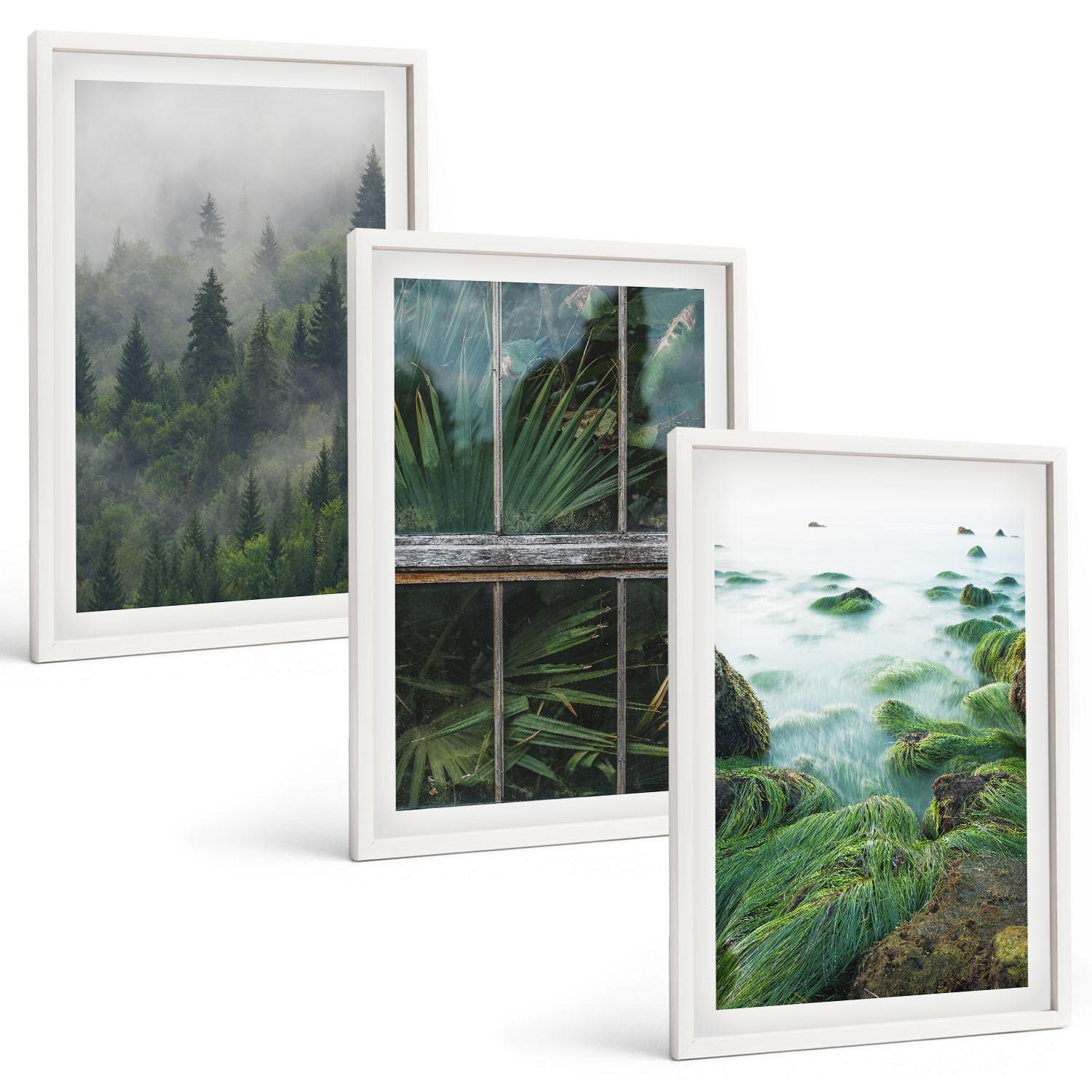 BILDER SET 3er Set - 40x60 cm Weißer Rahmen - Waldnebel, Flussufer, Gewächshaus - Weiß, Kunststoff (40/60cm) - TULUP