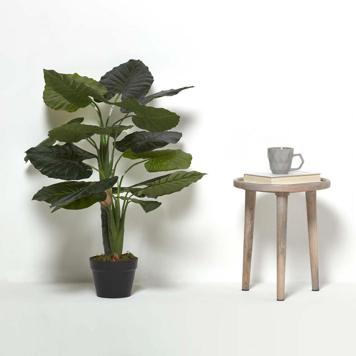 KUNSTPFLANZE Taro, 90 cm - Grün, Kunststoff (90cm) - Homescapes