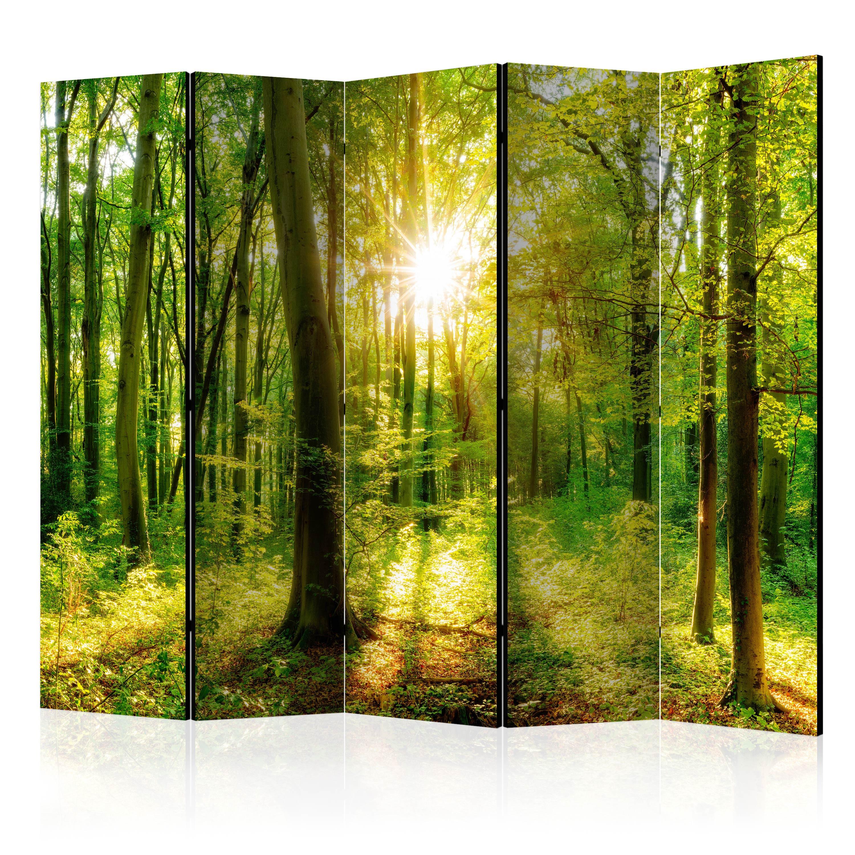 PARAVENT Akustik 5-tlg 225x172 cm Sonnenstrahlen Im Wald - Grün, Holz/Textil (225/172/3cm) - Muralo