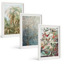BILDER SET 3er Set - 40x60 cm Weißer Rahmen - Tropische Pflanzen, Vögel, Natur - Weiß, Kunststoff (40/60cm) - TULUP