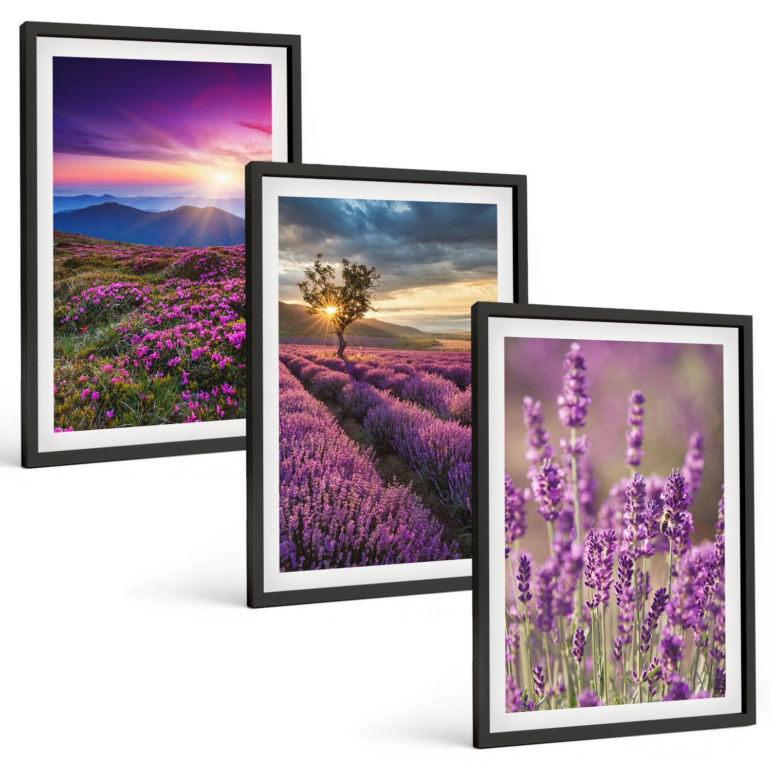 BILDER SET 3er Set - 40x60 cm Schwarzer Rahmen - Sonnenuntergang auf Lavendelfeldern - Schwarz, Kunststoff (40/60cm) - TULUP