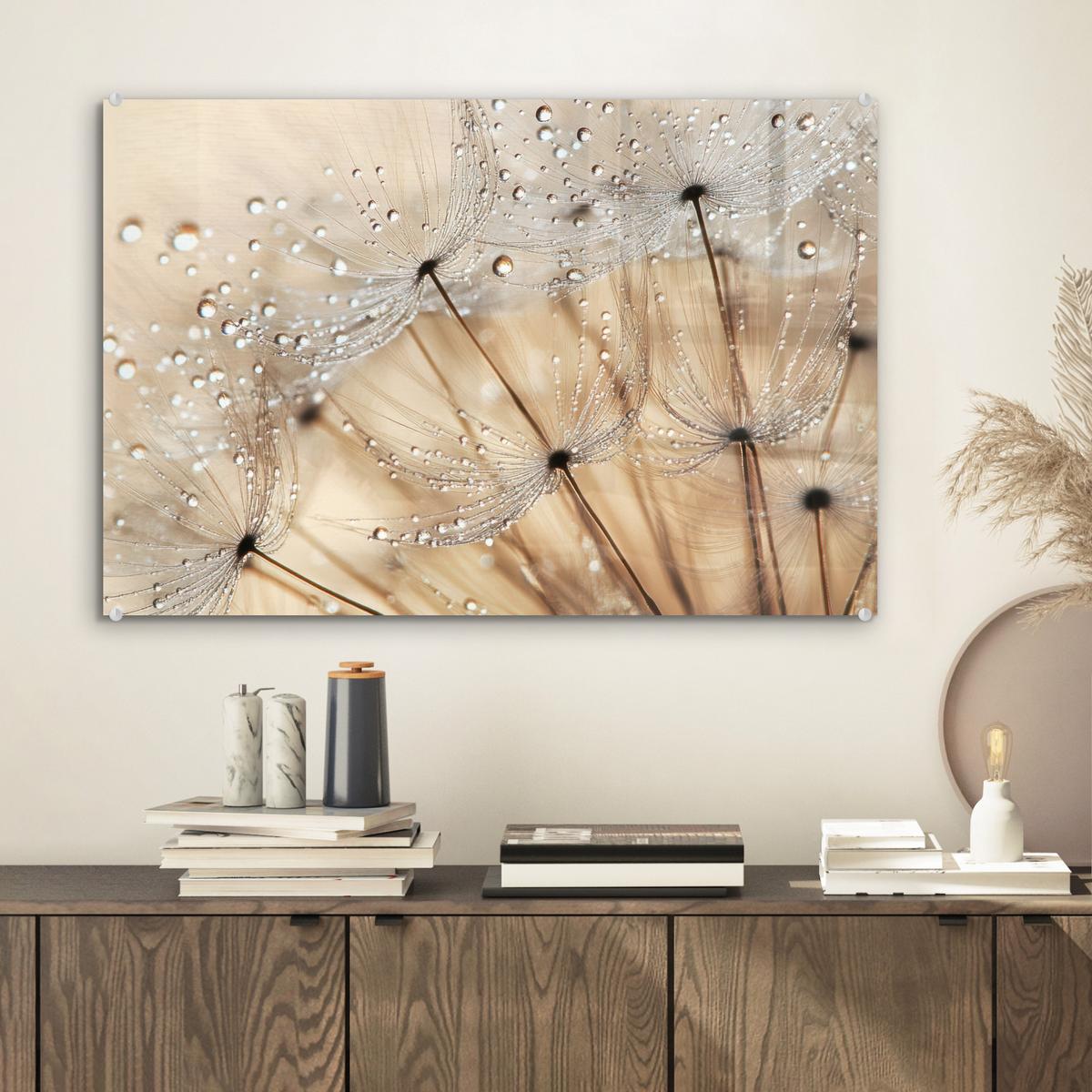 ACRYLGLASBILD Löwenzahn - Abstrakt - Natur - Beige Wanddeko 60x40 cm - Braun, Glas (60/40cm) - MuchoWow