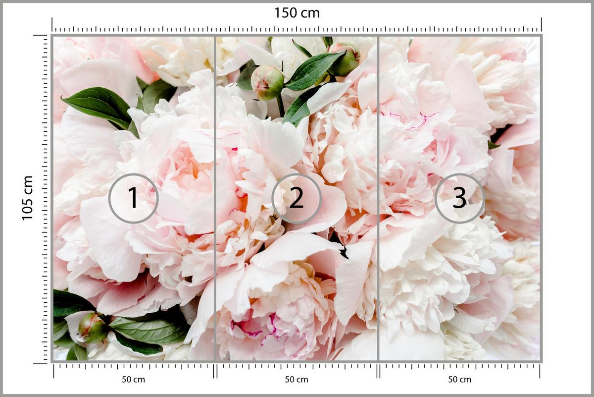 FOTOTAPETE für Schlafzimmer Rosa Zarte Pfingstrosen Natur 150x105 - Rosa/Weiß, Papier (150/105cm) - Muralo