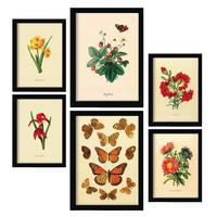 POSTER Set Mit 6 6Er Schmetterlinge A3 Rahmenlos - Klar, Papier (29.7/5/42cm) - Nacnic