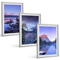 BILDER SET 3er Set - 40x60 cm Silberner Rahmen - Berglandschaften, Sonnenuntergang, Wasser - Silberfarben, Kunststoff (40/60cm) - TULUP