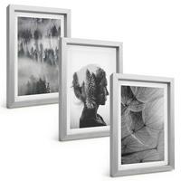 BILDER SET 3er Set - 20x30 cm Silberner Rahmen - Waldnebelporträt Baum Löwenzahn - Silberfarben, Kunststoff (20/30cm) - TULUP