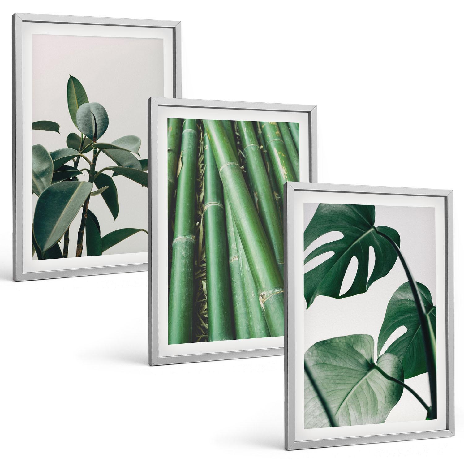 BILDER SET 3er Set - 40x60 cm Silberner Rahmen - Bambusstängel und Monstera-Blätter - Silberfarben, Kunststoff (40/60cm) - TULUP