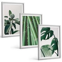 BILDER SET 3er Set - 40x60 cm Silberner Rahmen - Bambusstängel und Monstera-Blätter - Silberfarben, Kunststoff (40/60cm) - TULUP