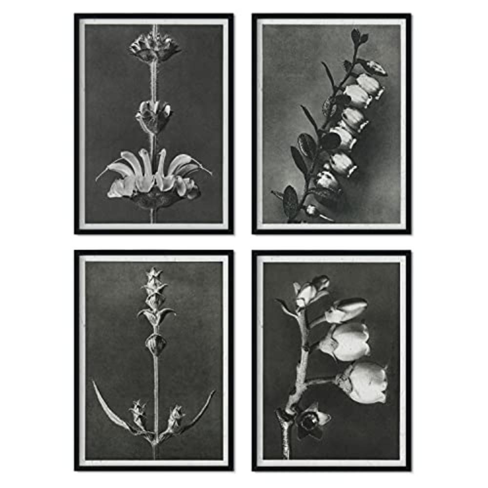 POSTER Set mit 4 langer Blätter Blumen und Pflanzen in Grausteinen A4 Schwarzer Rahmen - Schwarz, Papier (29.7/3cm) - Nacnic