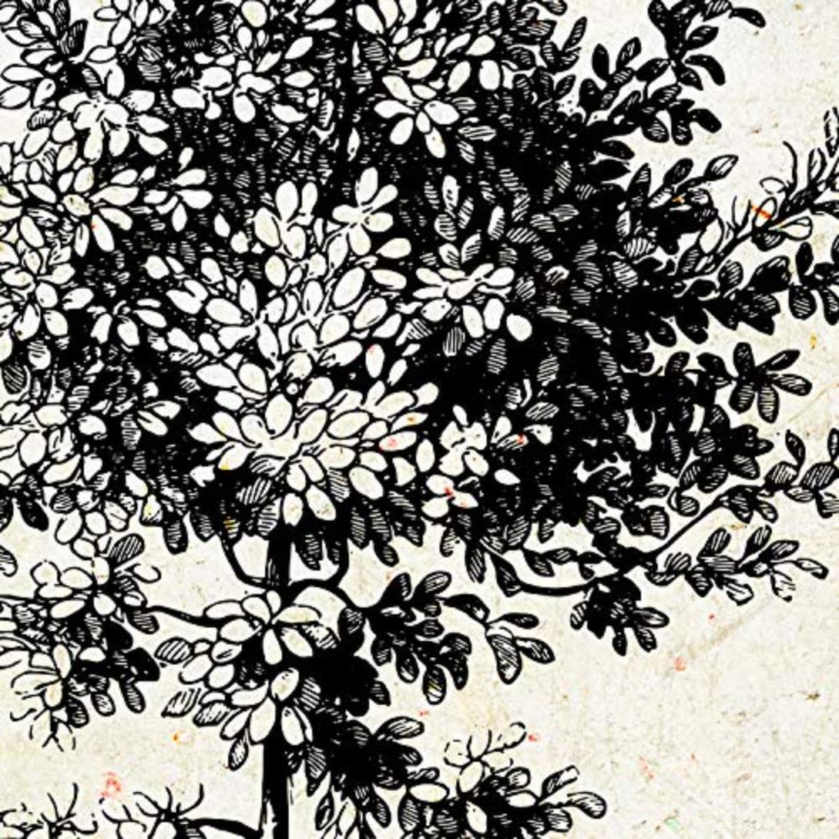 POSTER Set mit 4 Blättern der Bäume mittlerer, Jahrgang Hintergrund 20x20cm Schwarzer Rahmen - Schwarz, Papier (20/3cm) - Nacnic