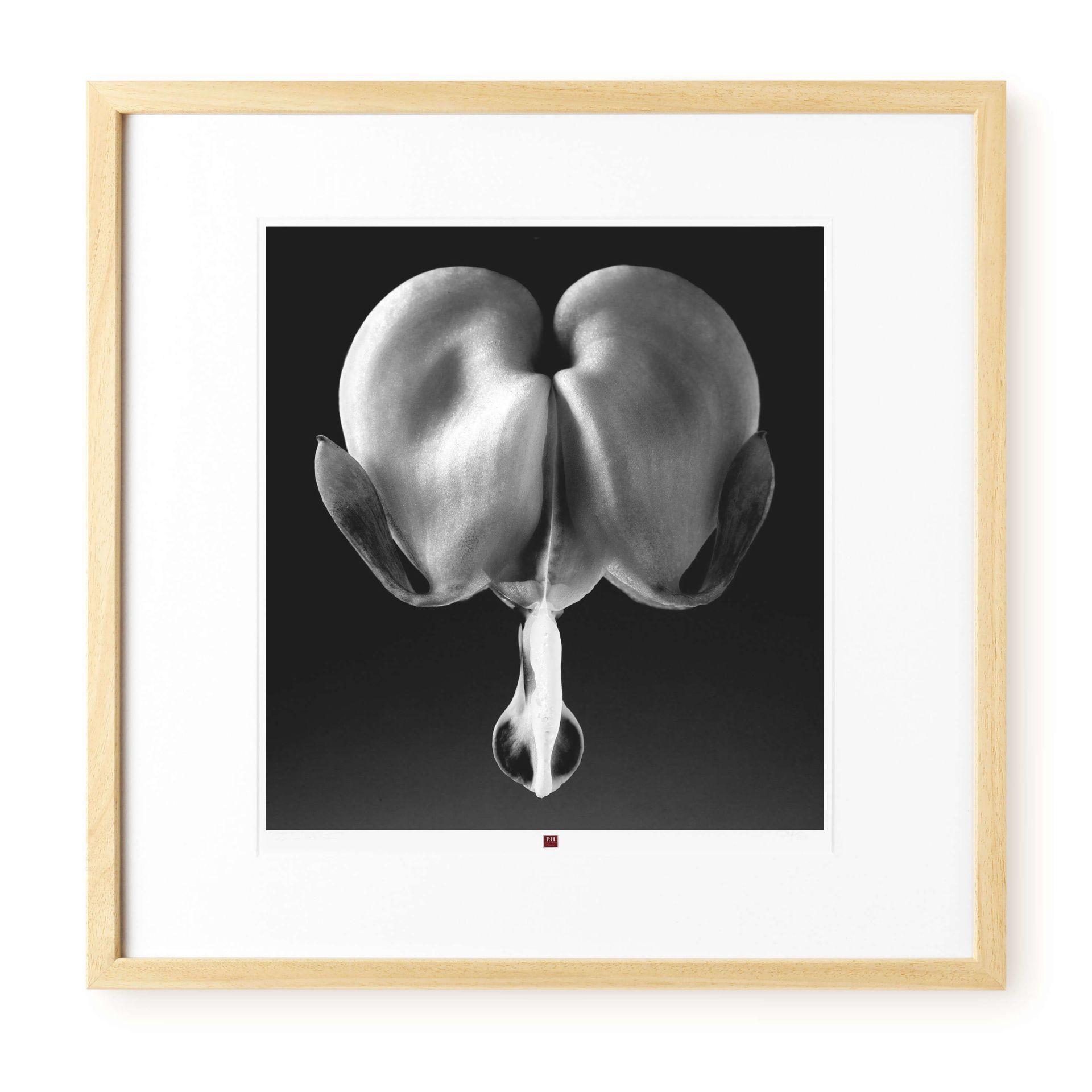 KUNSTDRUCK Schwarz-Weiß 50/50 cm - Schwarz, Glas/Papier (2.4/50cm) - KUNSTLOFT