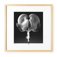 KUNSTDRUCK Schwarz-Weiß 50/50 cm - Schwarz, Glas/Papier (2.4/50cm) - KUNSTLOFT