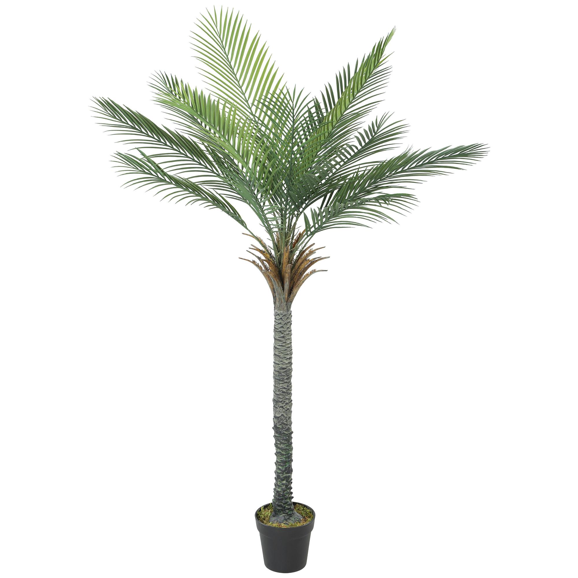 KUNSTPALME PE PP Zement Grün Braun - Schwarz/Braun, Kunststoff (180cm) - HOMCOM