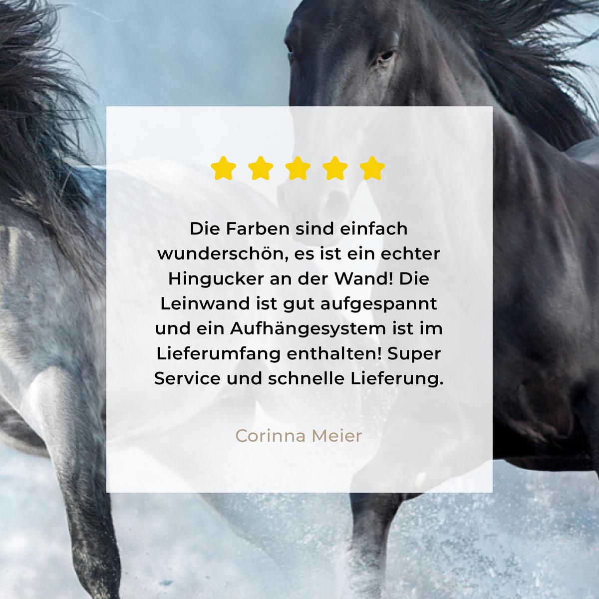LEINWANDBILD Pferde - Winter - Tiere - Natur - Schnee Gemälde 60x40 cm - Anthrazit, Textil (60/40cm) - MuchoWow