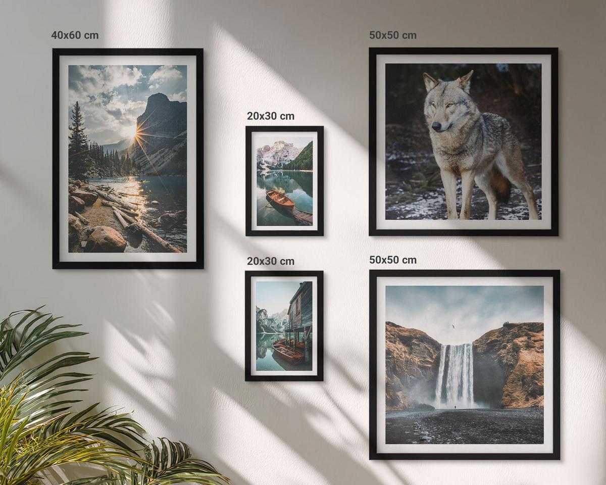 BILDER SET 5er Set - 50x50 cm & 20x30 cm & 40x60 cm Schwarzer Rahmen - Berge, Seen, Wasserfall, Wolf - Schwarz, Kunststoff (40/60cm) - TULUP