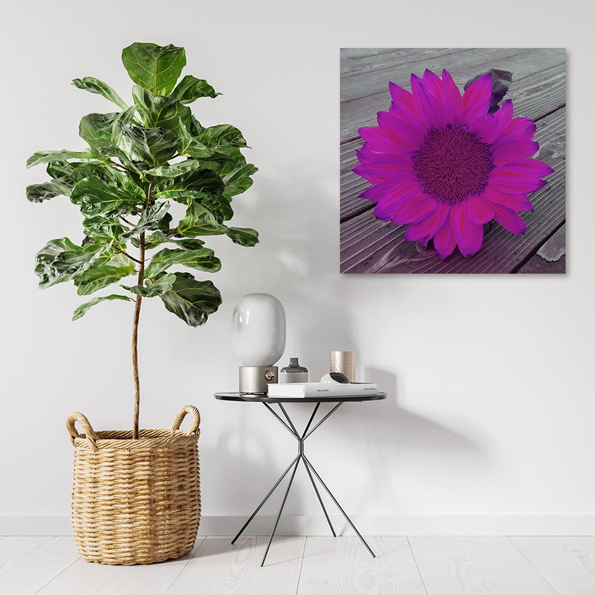 WANDBILD rosa sonnenblume - Lila, Textil (40/40cm) - Feeby