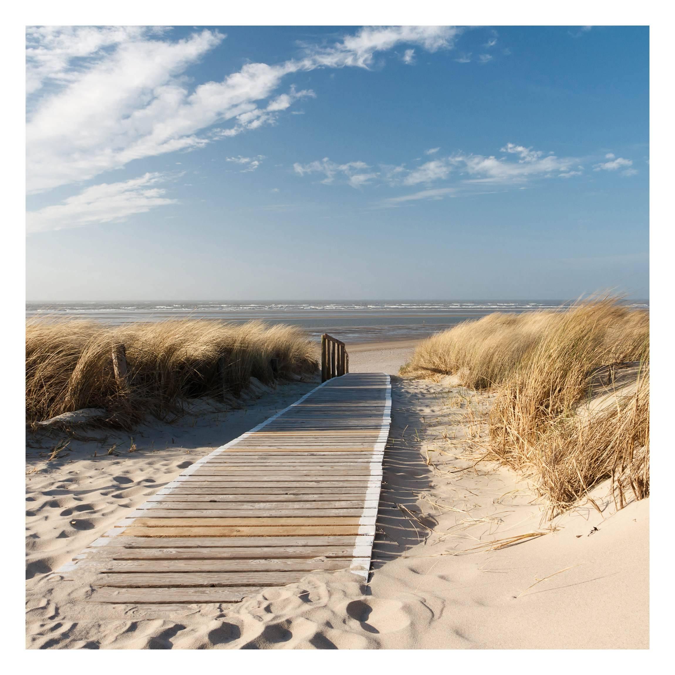 FOTOTAPETE Ostsee Strand 192/192 cm - Eichefarben, Papier (192/192cm) - Bilderwelten
