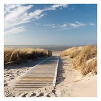 FOTOTAPETE Ostsee Strand 192/192 cm - Eichefarben, Papier (192/192cm) - Bilderwelten