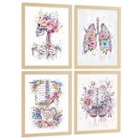 POSTER Set aus 4 Anatomie Mensch Drucke und mit Schädel Lungen Verdauungssystem und Gehirn Florales Aquarell Design Größe Leichter Holzrahmen A4 - Beige, Papier (21/29.7/3cm) - Nacnic