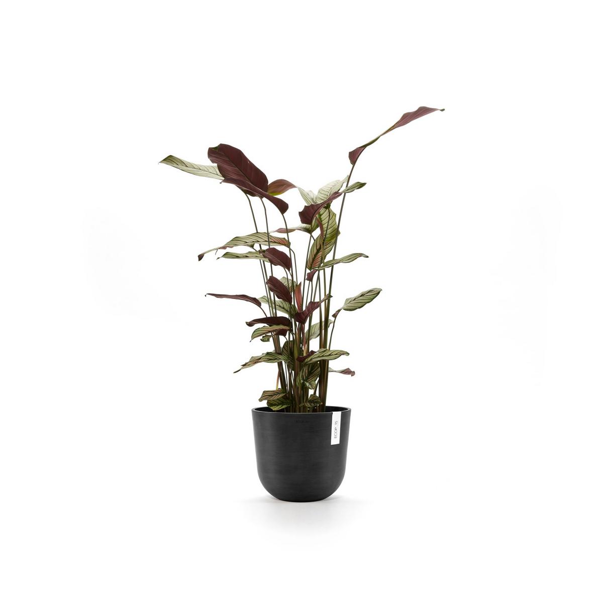 BLUMENTOPF mit Wasserreservoir Oslo 25/21,4 cm Dunkelgrau - Dunkelgrau, Kunststoff (25/21.4cm) - Ecopots